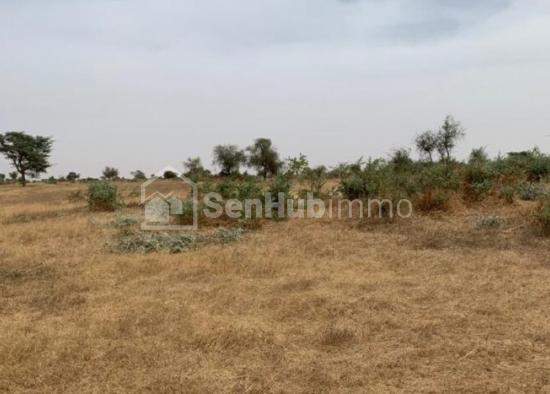 Terrain Agricole de 5,15 hectares à Cherif Lô