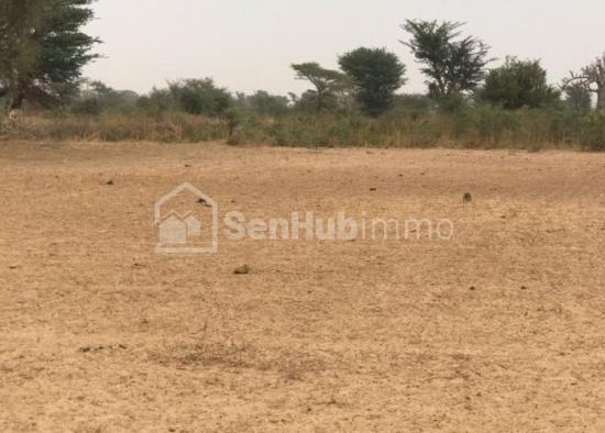 Terrain Agricole de 1,51 hectare à Tassette