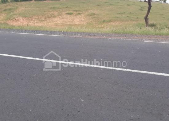 Terrain Agricole de 2,52 hectares à Kab Gaye