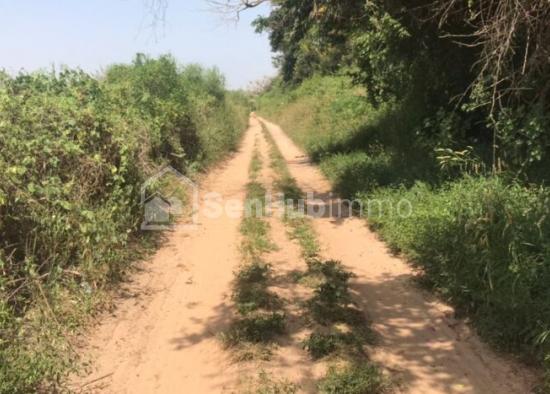 Terrain Agricole de 3,33 ha à Sebikhotane