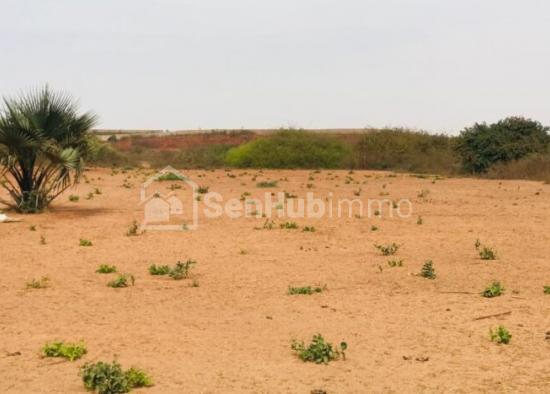 Verger Agricole de 6,09 hectares à Diass