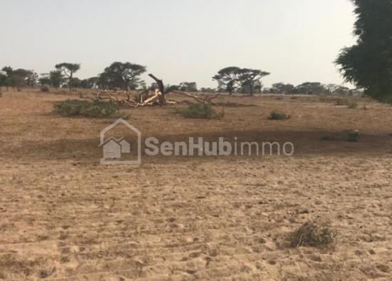 Terrain Agricole de 2,26 hectares à Tassette