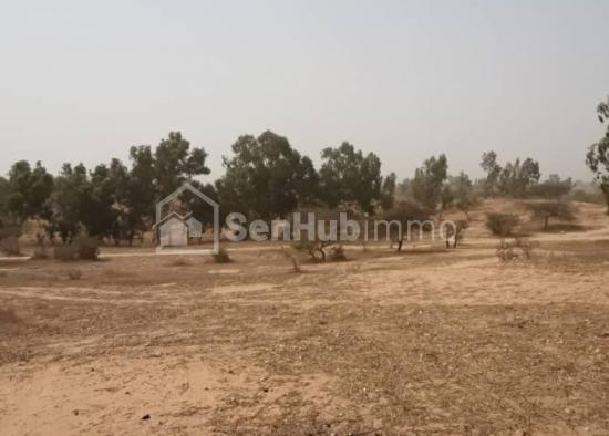 Terrain Agricole de 4,03 hectares à Kab Gaye