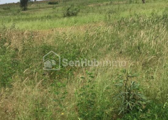 Terrain Agricole de 1,07 hectare à Ndiaganiao