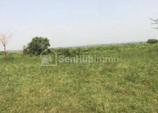 Terrain Agricole de 1,55 hectare à Mont Rolland