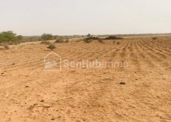 Terrain Agricole de 8,8 hectares à Diama