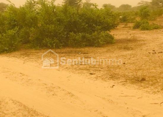 Terrain Agricole de 06 hectares à Thiénaba