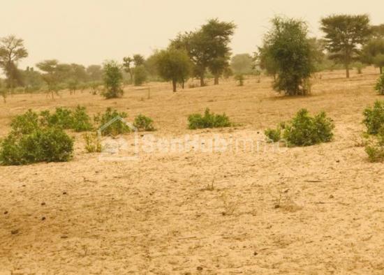 Terrain Agricole de 09 hectares à Thiénaba