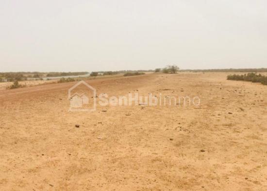 Terrain Agricole de 280 hectares à Diama