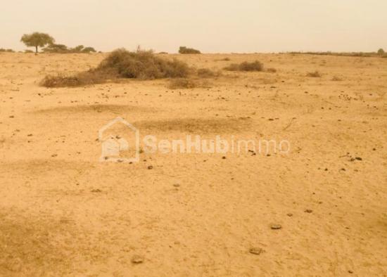 Terrain Agricole de 3,35 hectares à Diama