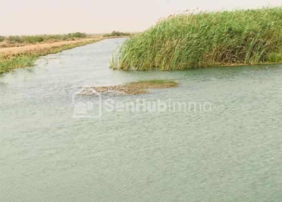 Terrain Agricole de 120 hectares à Diama