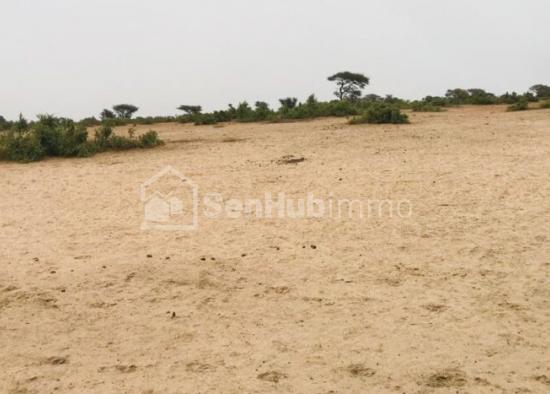 Terrain Agricole de 50 hectares à Tassette