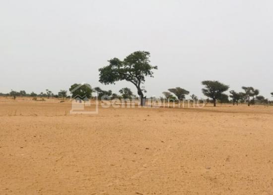 Terrain Agricole de 1,58 hectare à Tassette