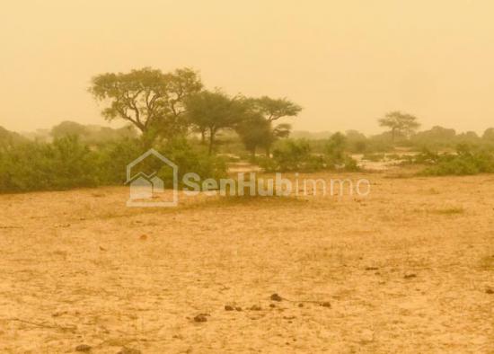 Terrain Agricole de 02 hectares à Thiénaba