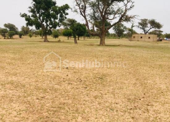 Terrain Agricole de 1,68 hectare à Tassette