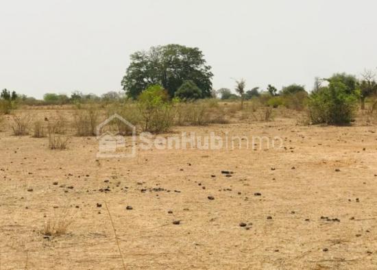 Terrain Agricole de 3912 m² à Notto Diobass