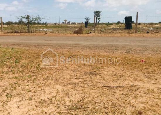 Terrain Agricole de 1,04 Hectare à Sandiara