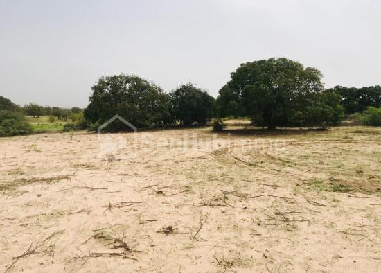 Verger Fruitier de 5100 m² à Diender