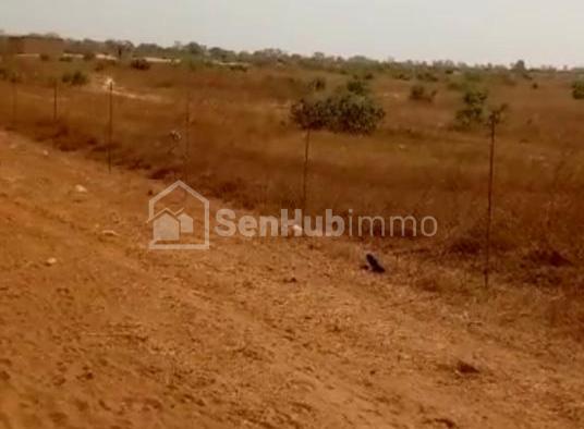 Terrain Agricole de 12,02 hectares à Tassette