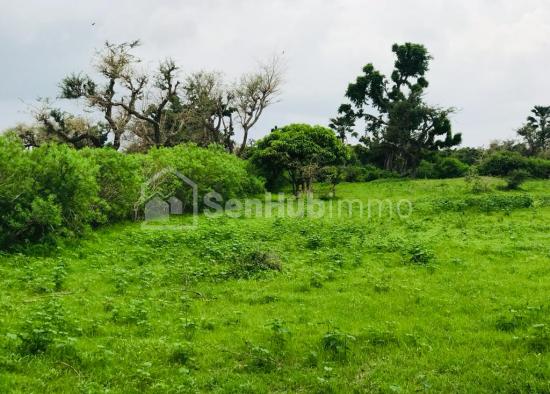 Verger Fruitier de 5835 m² à Mont Rolland