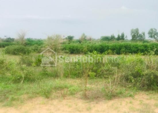 Terrain Agricole de 7045 m² à Notto Gouye Diama