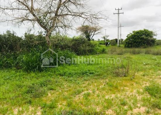 Terrain Agricole de 4294 m²à Notto Gouye Diama