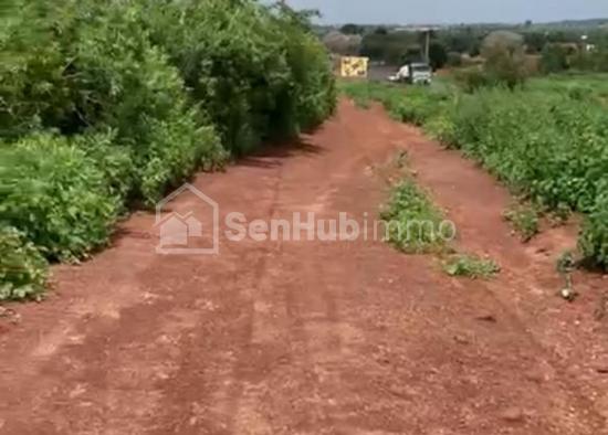 Terrain Agricole de 1,63 hectare à Diass